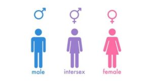 ¿Cuántos sexos hay? Una nueva investigación revela que la respuesta
