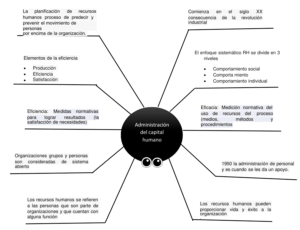 Mapa Araña: Ejemplos y Usos