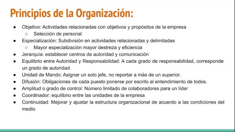Organización: Qué Es Y Por Qué Es Importante En La Vida – WXSPZZ